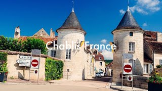 Chablis France 🇫🇷 wine chablis france [upl. by Freytag877]