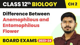 Difference Between Anemophilous and Entomophilous Flower  Sexual Reproduction in Flowering Plants [upl. by Yelyk32]