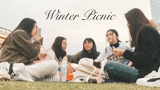 Winter Picnic Getaway ❄️☃️ [upl. by Enytsuj988]