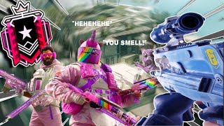 HIGHLY ILLEGAL R6 MOMENTS [upl. by Serafina]