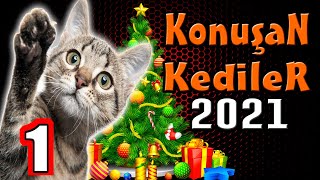 En Komik Kedi Videoları  2021 Konuşan Kediler 1 [upl. by Tnomed688]