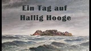 Ein Tag auf Hallig Hooge [upl. by Aleunam106]