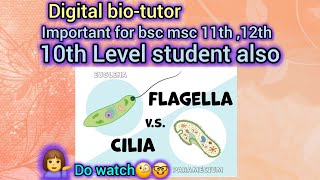 Cilia vs Flagella 💁‍♀️The Battle of the Tiny Tails🤔 [upl. by Hsekin268]