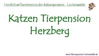 Katzen Tierpension Herzberg  Katzenpension  Tierpension [upl. by Aneed]