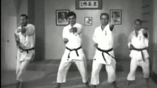 Dutch Pioneering Karate 1962 [upl. by Naashom]