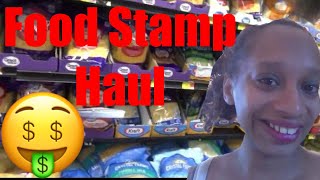 Food Stamp Grocery Haul [upl. by Llerrad385]