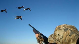 Duck Hunting top 30 shots [upl. by Hairom]