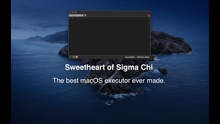 SSC  The best macOS ROBLOX executor Runs Owlhub  Saveinstance  Decompiler [upl. by Drusi]