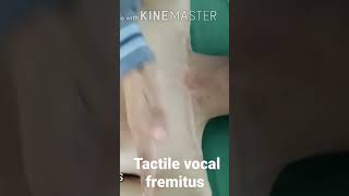 Tactile Vocal Fremitus [upl. by Namajneb]