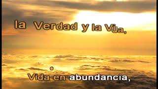 Vida en abundancia [upl. by Harbour]