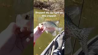 Instant crappie catch in the creek follow crappie crappiefishing fishing [upl. by Rolyab]