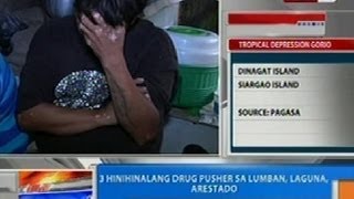 NTG 3 hinihinalang drug pusher sa Lumban Laguna arestado [upl. by Crary728]