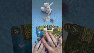 On choisit ce quon garde Apprentissage via notre Expérience Oracle Le Petit Lenormand des Fées [upl. by Arorua448]