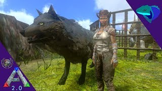 RUNNING THE MIDDLE CHAMBER ON OUR NEW DOG I NEED A HELMET Solo ARK Mobile S2E13 [upl. by Netsua]