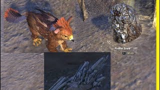 ESO Jewelry Crafting Nodes amp New Materials PTS Peek Kitten Pet [upl. by Fawna929]