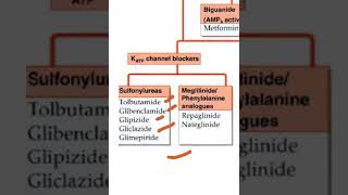 Pharmacology Sulfonylurea examples viva [upl. by Yasmeen676]