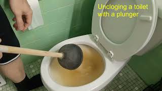 How to unclog a toilet with a plunger [upl. by Yeltsew512]