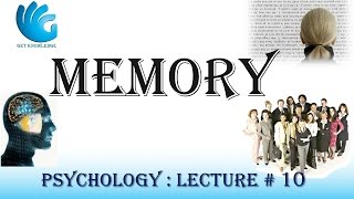 Memory  Psychology Lecture  10 [upl. by Malim]