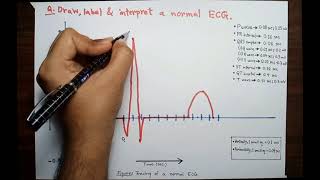 ECG for 1st professional examination [upl. by Romo350]