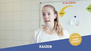 soH  Lean Hospital Kaizen [upl. by Salesin]