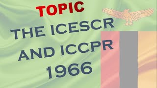 The ICCPR and ICESCR [upl. by Trust448]