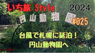 いち旅Style JAL修行を続けながら 旅の記録です [upl. by Jeromy16]