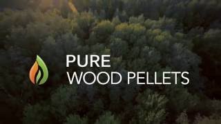 Pure Wood Pellets Absorbency Test [upl. by Sybilla207]