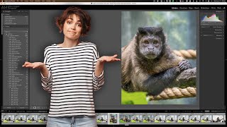 Is There a BETTER WAY to Import Photos Into LIGHTROOM [upl. by Gosnell]