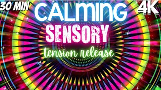 Autism Calming Sensory Music Healing Tension Release Colored Tunnel [upl. by Gunther]