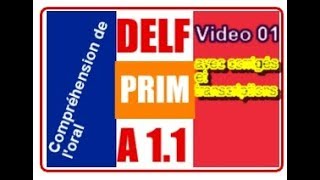 DELF Prim A11  Compréhension de loral  vidéo 01 [upl. by Atiuqa592]