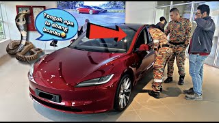 💢ULAR TEDUNG ABANG BOMBA TESLA😅CELORENG BOMBA [upl. by Dodds]