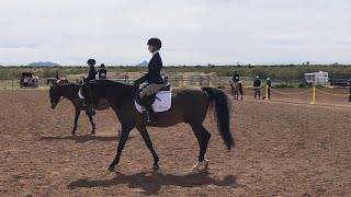 2023 IEA Zone 8 Hunt Seat Finals from Horse Lovers Park in Phoenix AZ Original Edit [upl. by Judus]