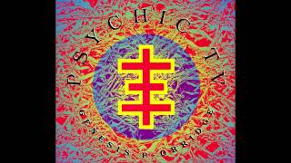 Psychic TV amp The Hafler Trio  Alaura [upl. by Aliac390]