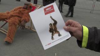 Greenpeace protests at Nestle shareholder meeting [upl. by Telocin]