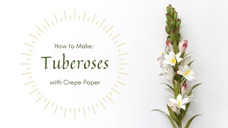 LEARN TO MAKE TUBEROSES with Crepe Paper  Sneak Peek [upl. by Richmond]