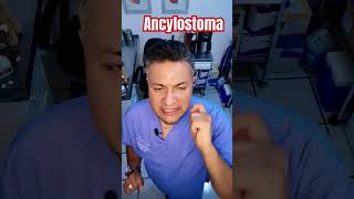 Ancylostoma music love edm parati veterinaria perros creepypasta enfermedad veterinaria [upl. by Ettenuj]