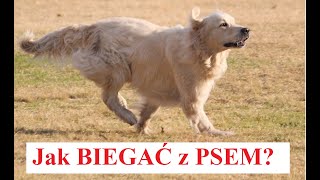 Jak BIEGAĆ z PSEM [upl. by Garbers898]