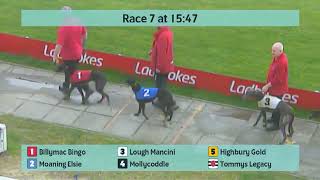 Crayford Greyhounds Races on 15th March 2024 [upl. by Lebar]