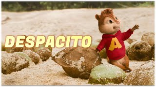 Despacito  Luis Fonsi ft Daddy Yankee  Alvin and the Chipmunks [upl. by Luanni586]