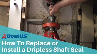 How to Replace or Install a Dripless Shaft SealStuffing Box  BoatUS [upl. by Derayne]