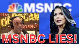 MSNBC Caught REDHANDED By Tulsi Gabbard Fake Joe Rogan LIES Exposed [upl. by Annawal853]