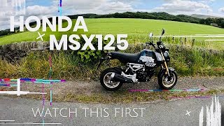 Honda MSX125 Is it any good [upl. by Devondra953]