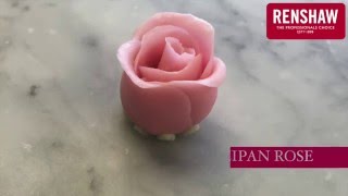 How to model a Marzipan Rose [upl. by Aniz653]