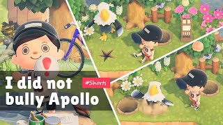 I did not bully Apollo  ACNH [upl. by Studnia]