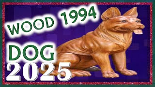 Dog Horoscope 2025  Wood Dog 1994  February 10 1994 to January 30 1995 [upl. by Eiliab338]