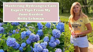 Mastering Hydrangea Care Expert Tips from My June Garden with Kelly Lehman [upl. by Rorie46]