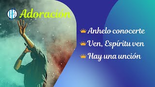 ANHELO CONOCERTE ESPIRITU SANTO [upl. by Jessie]