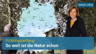 Frühlingsanfang So weit ist die Natur schon 27022022 [upl. by Iaj]