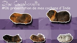 StarCacahouette 06 mes cochons dInde [upl. by Nawak910]