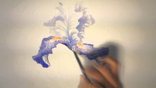 Un iris à laquarelle watercolor tutorial [upl. by Natanhoj]